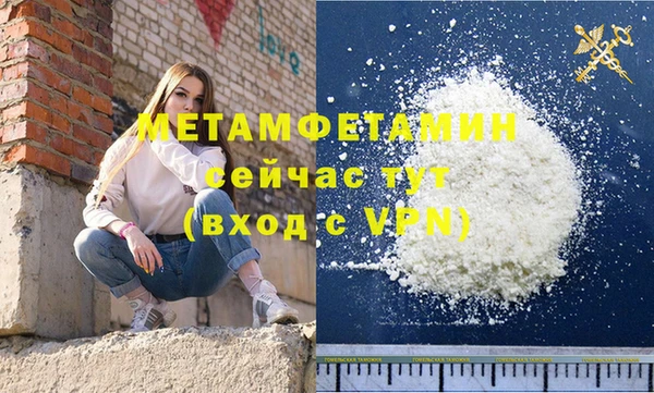 мдпв Ельня