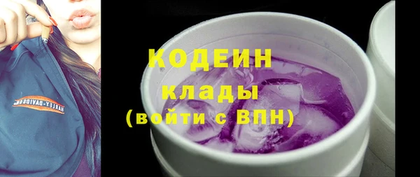 мдпв Ельня